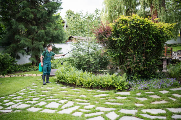 Best Ant Control Services  in West Liberty, WV