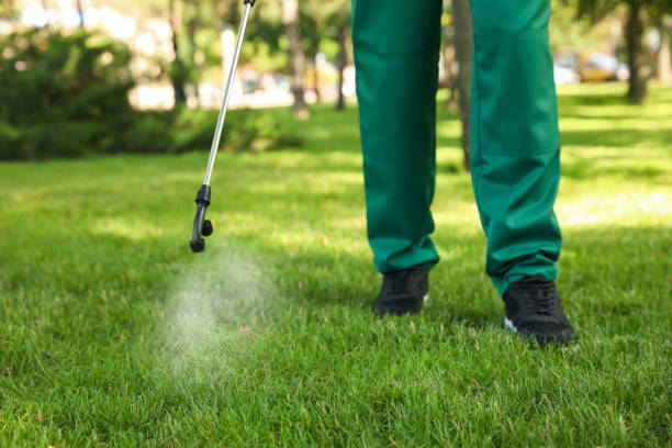 Best Affordable Pest Control Services  in West Liberty, WV