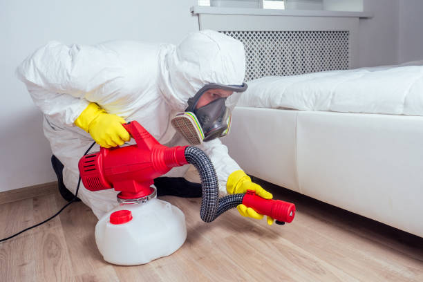 Best Local Pest Control Services  in West Liberty, WV