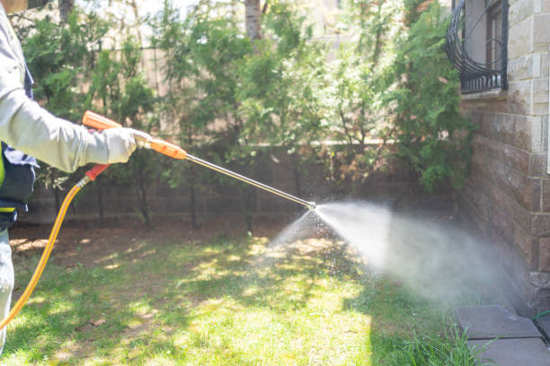 Best Best Pest Control Companies  in West Liberty, WV