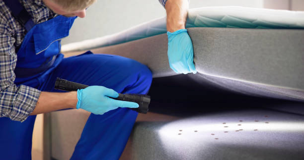 Best Pest Inspection Near Me  in West Liberty, WV
