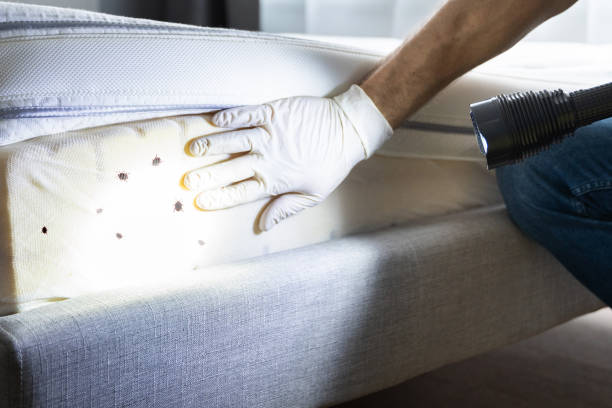 Best Cockroach Control Services  in West Liberty, WV