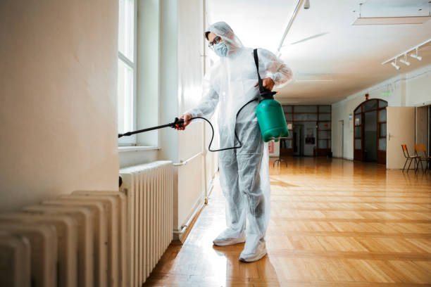 Wasp Removal Services in West Liberty, WV
