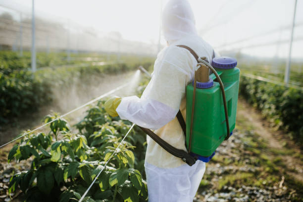Best Ant Control Services  in West Liberty, WV